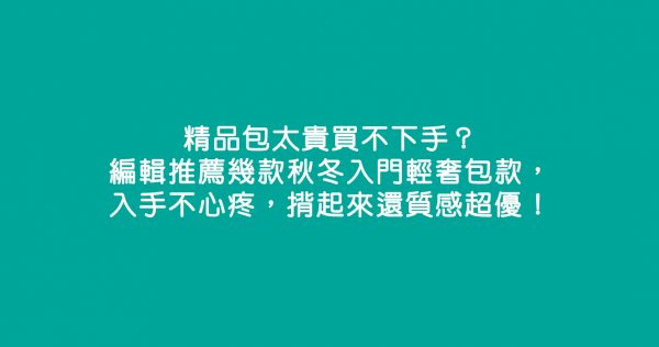 精品包太貴買不下手？編輯推薦幾款秋冬入門輕奢包款，入手不心疼，揹起來還質感超優！