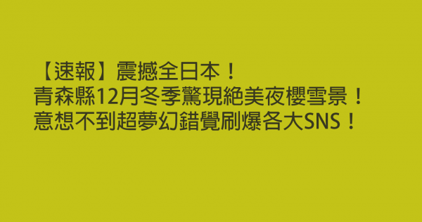 【速報】震撼全日本！青森縣12月冬季驚現絕美夜櫻雪景！意想不到超夢幻錯覺刷爆各大SNS！