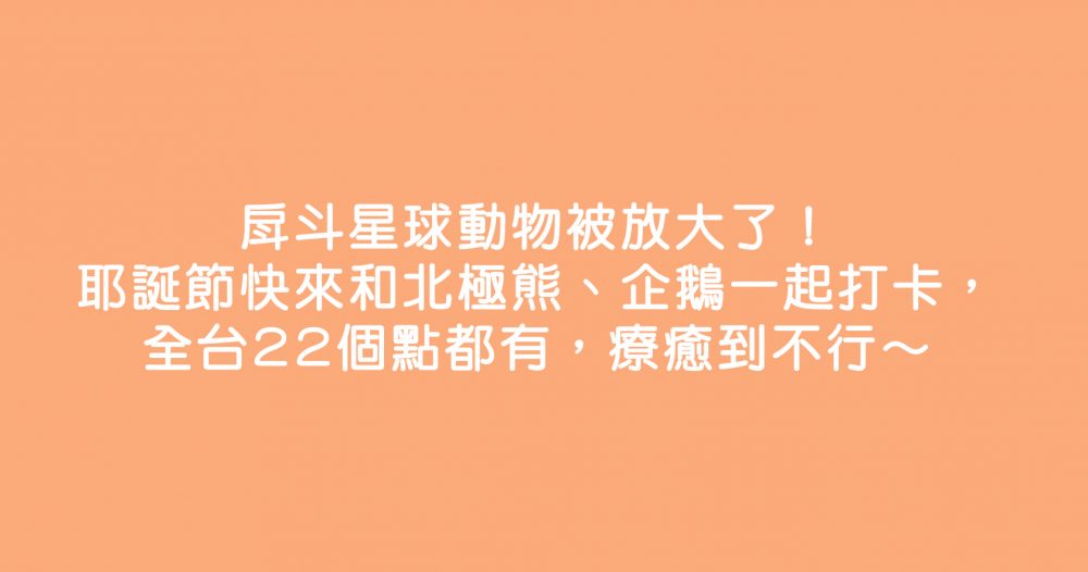 戽斗星球動物被放大了！耶誕節快來和北極熊、企鵝一起打卡，全台22個點都有，療癒到不行～