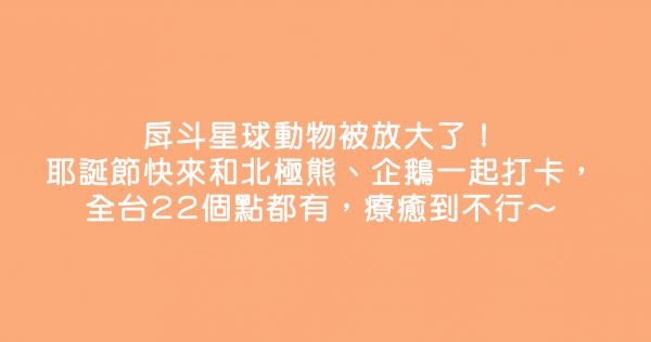 戽斗星球動物被放大了！耶誕節快來和北極熊、企鵝一起打卡，全台22個點都有，療癒到不行～