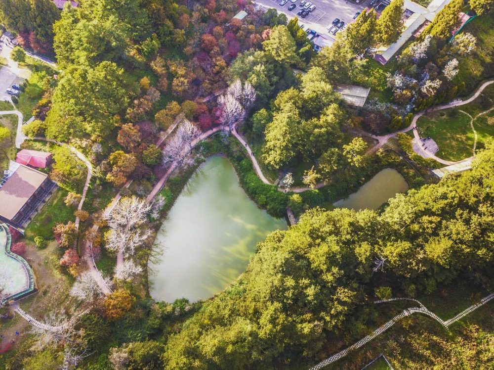 【走進大自然】自然美景 台灣驕傲！此生必訪 10 大夢幻湖泊