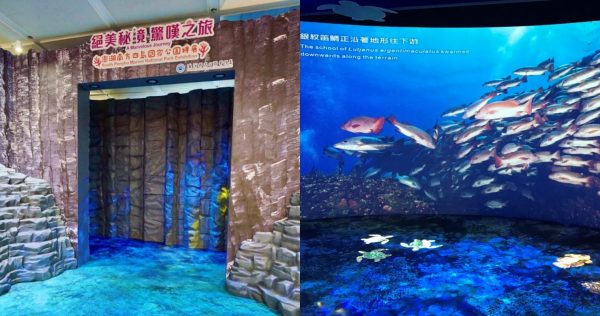 「絕美秘境驚嘆之旅」澎湖南方四島國家公園特展開展，小武哥帶你遊四島