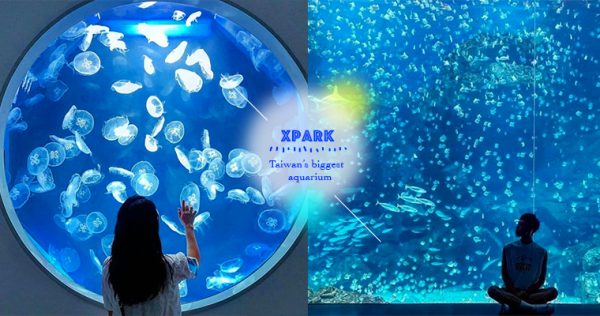 【Xpark水族館】開箱北台灣最大水族館！展區、門票、交通資訊、周邊景點大公開