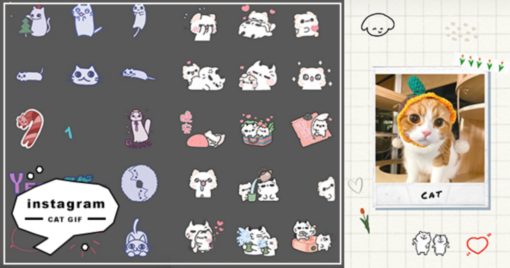 貓奴快筆記！IG限時動態「貓咪GIF」關鍵字大放送，編輯私藏都在這裡！