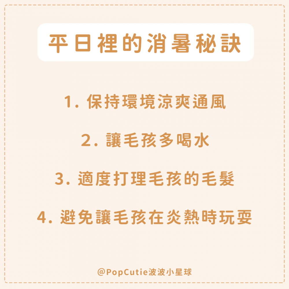 【寵物冷知識】毛孩太熱怎麼辦？「中暑症狀、消暑秘訣」懶人包一次看！