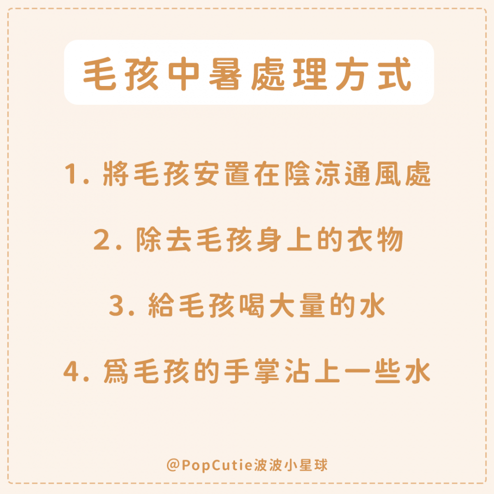 【寵物冷知識】毛孩太熱怎麼辦？「中暑症狀、消暑秘訣」懶人包一次看！