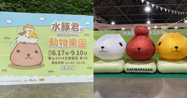 「水豚君の動物樂園」華山療癒開展！5隻巨型可愛水豚君公仔讓你拍爆！