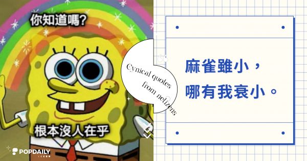 2024網友票選『毒雞湯』！18句負能量爆表語錄梗圖：「麻雀雖小，哪有我衰小。」