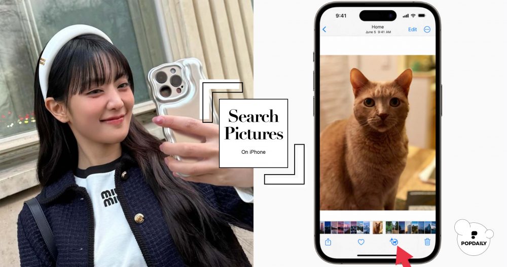 手機以圖搜圖怎麼做？5招在iPhone上查詢圖片，一鍵找商品、還可以識別貓貓品種！