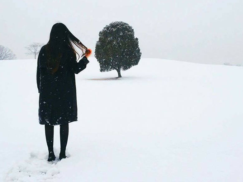 還以為是哪個深山中的秘境，積雪超深的奧林匹克公園瞬間古裝味十足！