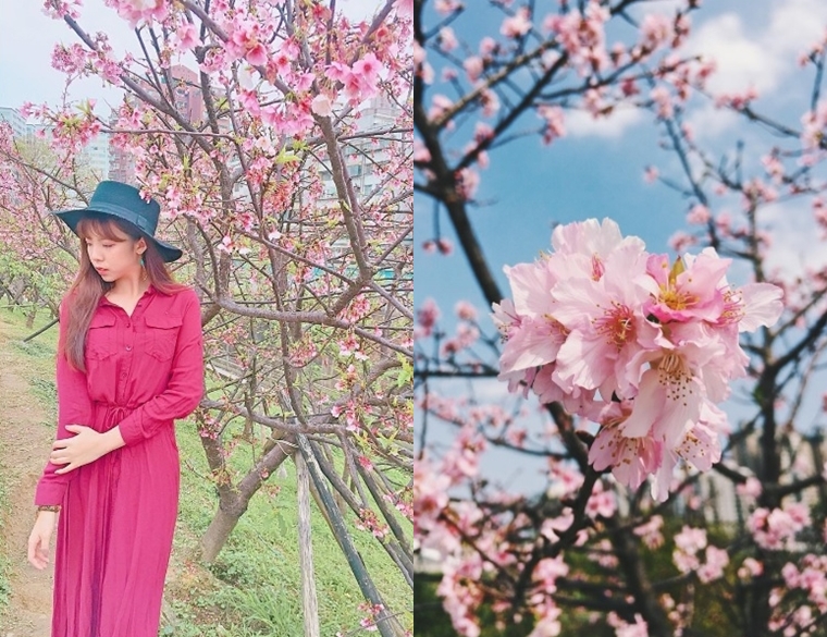 藏身在都市裡的秘密花園，懶人專屬台北賞花好去處，搭捷運就能拍到這些美美的照片啦！